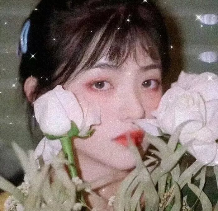 双面女儿弑亲案